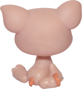 #0885 Pig